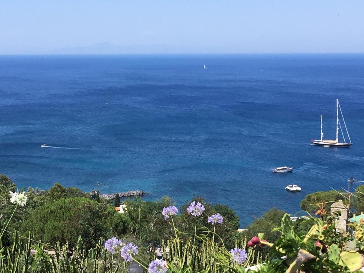 Agapanto Luxury Accommodation Casamicciola Terme Eksteriør bilde