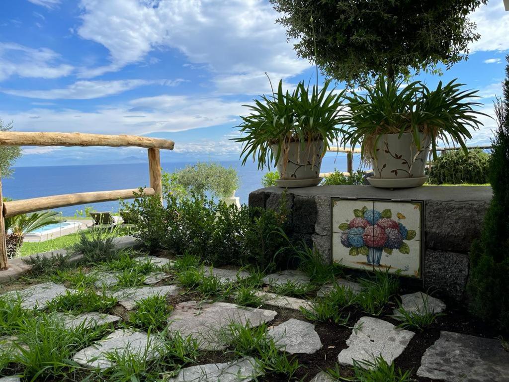 Agapanto Luxury Accommodation Casamicciola Terme Eksteriør bilde