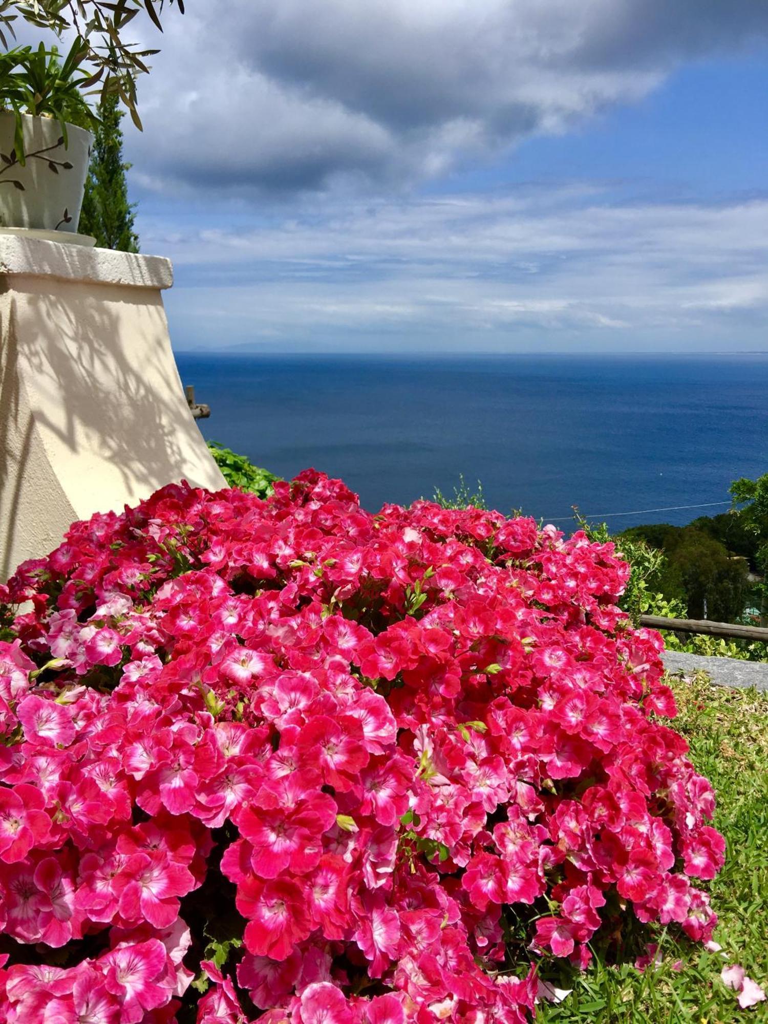 Agapanto Luxury Accommodation Casamicciola Terme Eksteriør bilde