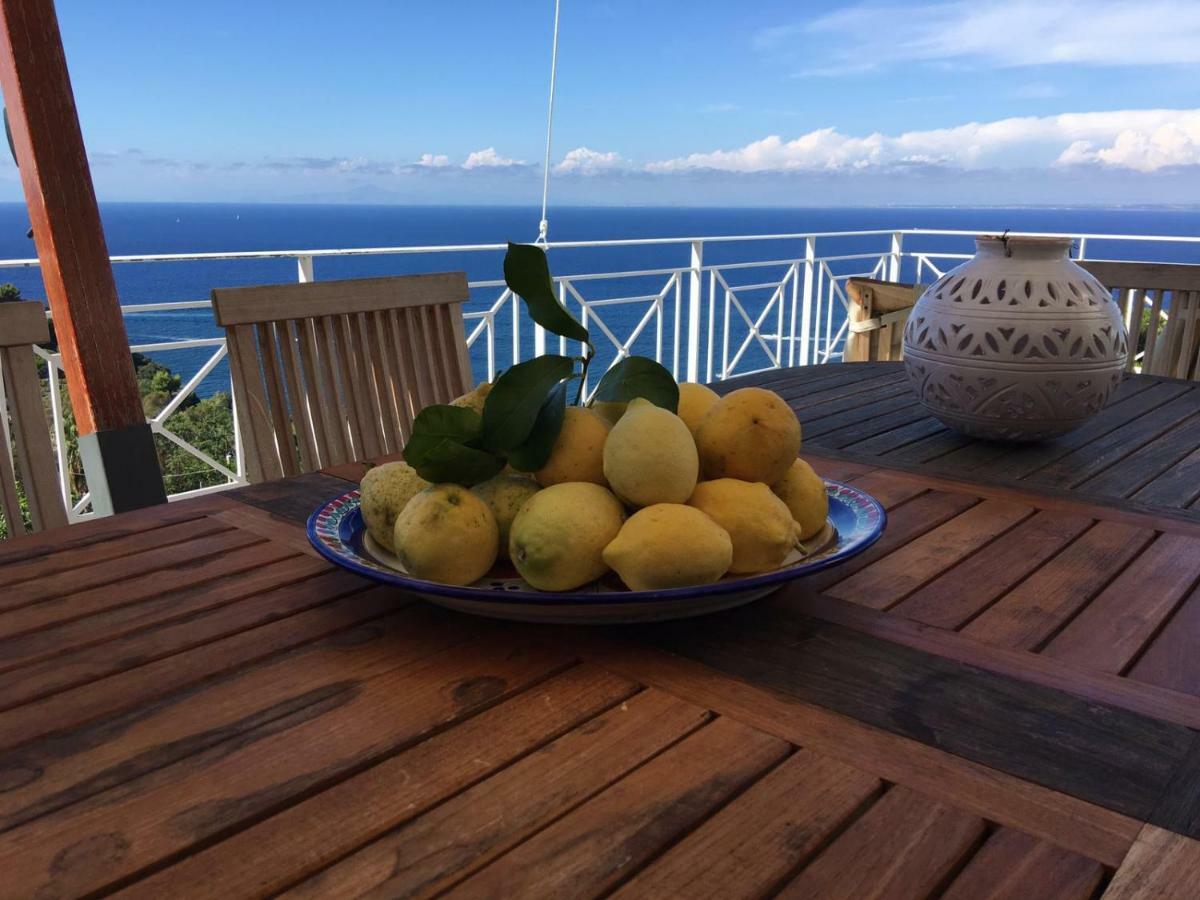 Agapanto Luxury Accommodation Casamicciola Terme Eksteriør bilde
