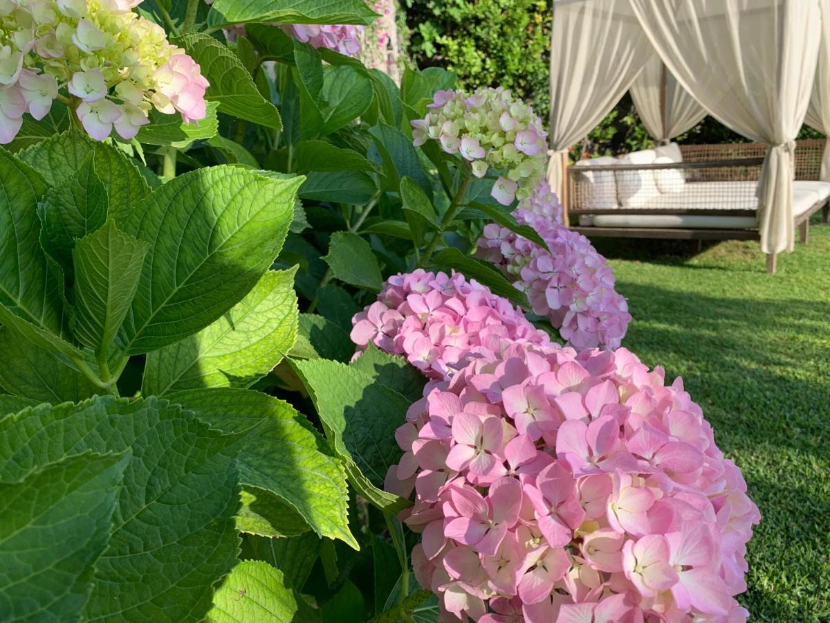 Agapanto Luxury Accommodation Casamicciola Terme Eksteriør bilde